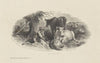 The Jack-Knife (1859)