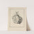 The Jaguar, the Hedgehog, the Tortoise and the Armadillo all in a heap by Rudyard Kipling