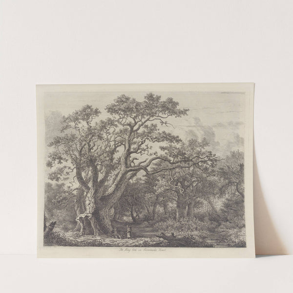 The King Oak In Savernake Forest by Jacob George Strutt