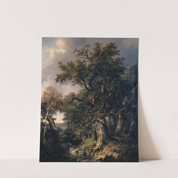 The King's Oak by Johann Jakob Siegmund