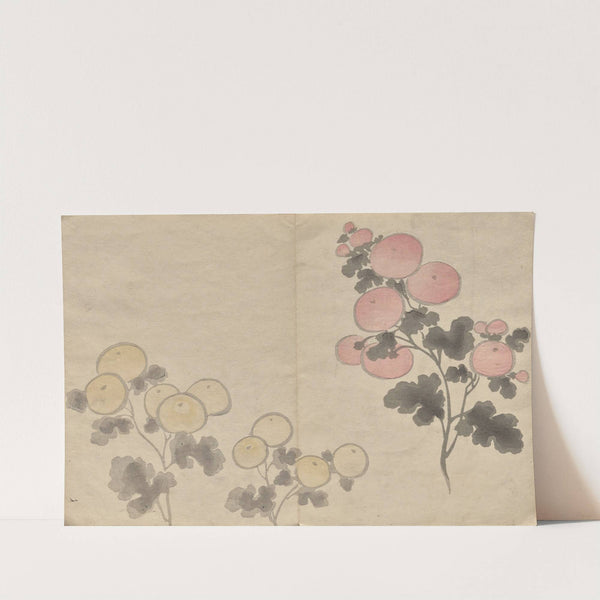 The Kōrin Picture Book Pl.08 (1800s) by Hōchū Nakamura