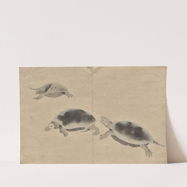 The Kōrin Picture Book Pl.16 (1800s) by Hōchū Nakamura