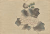 The Kōrin Picture Book Pl.20 (1800s)