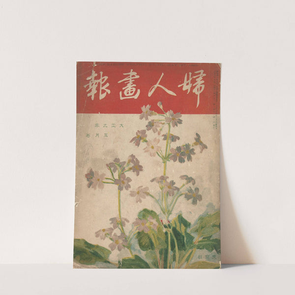 The Ladys' Graphic. May 1920 by Ishikawa Toraji