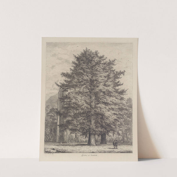 The Larches at Dunkeld by Jacob George Strutt