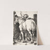 The Large Horse (1505) by Albrecht Dürer