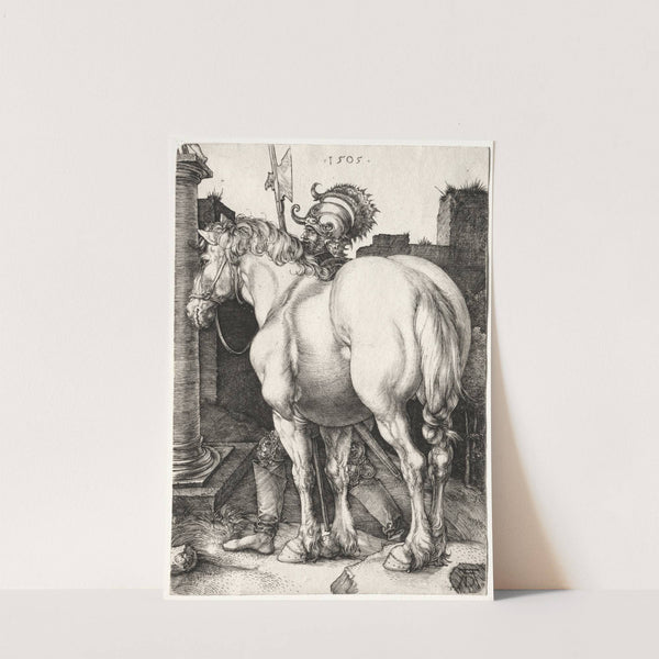 The Large Horse (1505) by Albrecht Dürer
