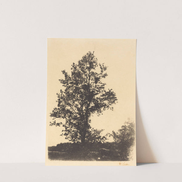 The Large Tree (1874) by Wilhelm Leibl
