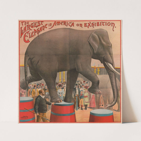 The largest elephant in America on exhibition (1892) by Russell, Morgan & Co.