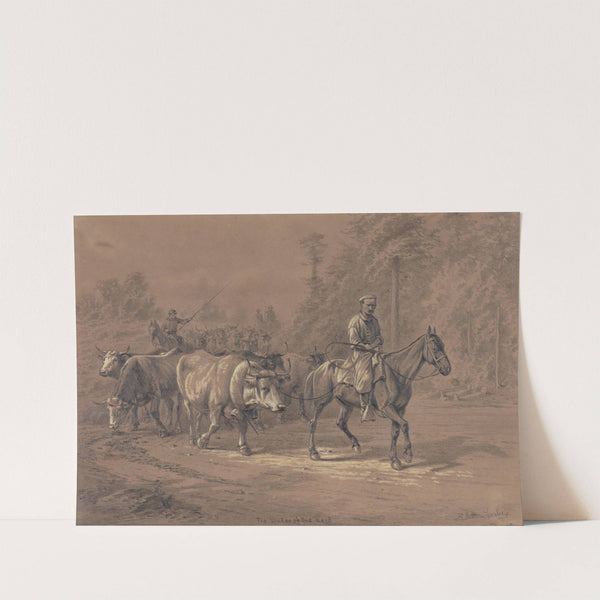 The leader of the herd (1861-1876) by Edwin Forbes