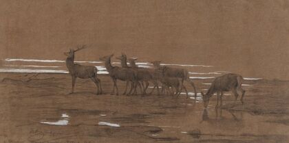 The leading stag