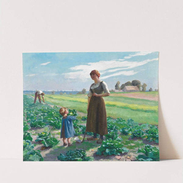 The Lettuce Patch by Aimé Perret