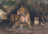 The Lion