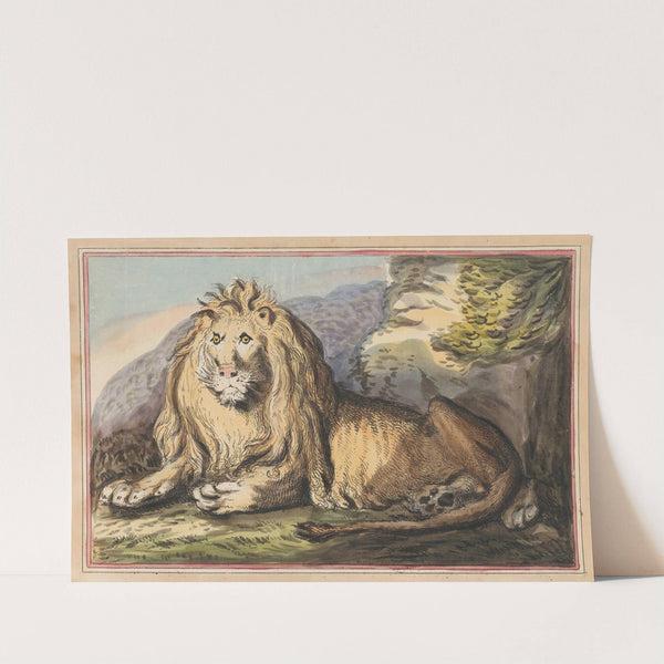 The Lion (1787) by Thomas Rowlandson