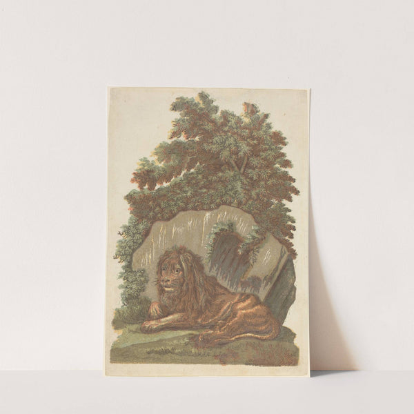 The Lion by John Baptist Jackson