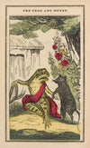 The little frog and pretty mouse Pl.6