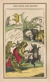 The little frog and pretty mouse Pl.7