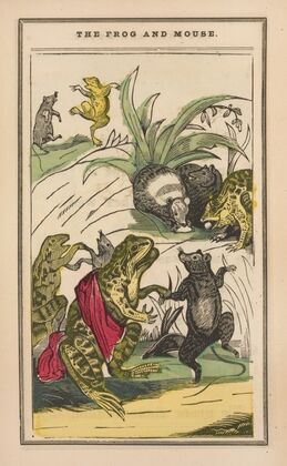 The little frog and pretty mouse Pl.7