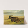 The Lone Mourner by Thomas Sidney Cooper