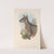 The mammals of Australia Pl.081 by John Gould