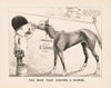 The man that knows a horse (1877)