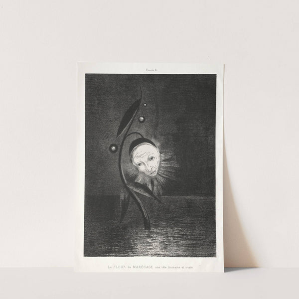 The Marsh Flower, a Sad Human Head (1885) by Odilon Redon