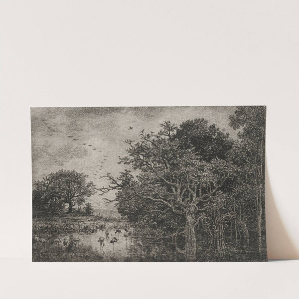 The Marsh with Storks (c. 1851) by Charles François Daubigny