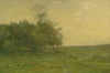The Meadow