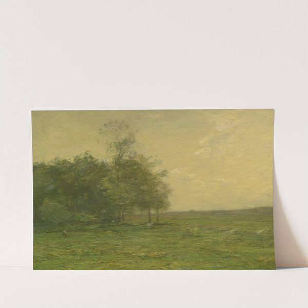 The Meadow by John Francis Murphy