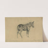 The meditative mule (1863) by Edwin Forbes
