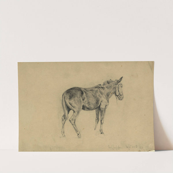 The meditative mule (1863) by Edwin Forbes