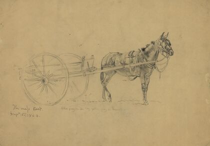 The mess cart. Aug. 6, 1863