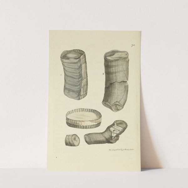 The mineral conchology of Great Britain Pl.072 by James Sowerby