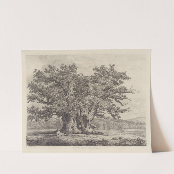 The Moccas-Park Oak by Jacob George Strutt