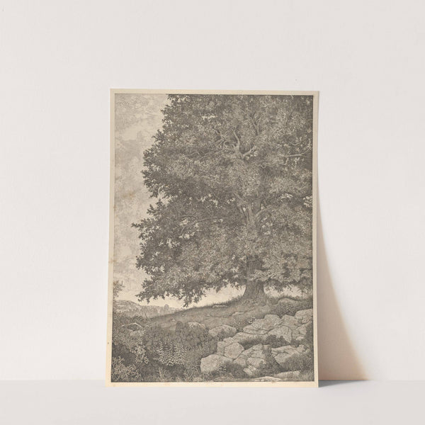 The Monarch (1909-1925) by Ernest Haskell