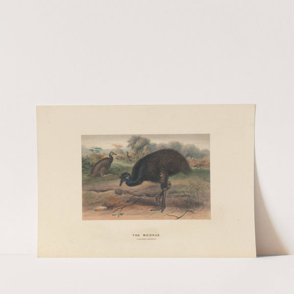 The Mooruk (1861-1867) by Joseph Wolf