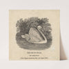 The Mute Swan, or Tame Swan by Thomas Bewick