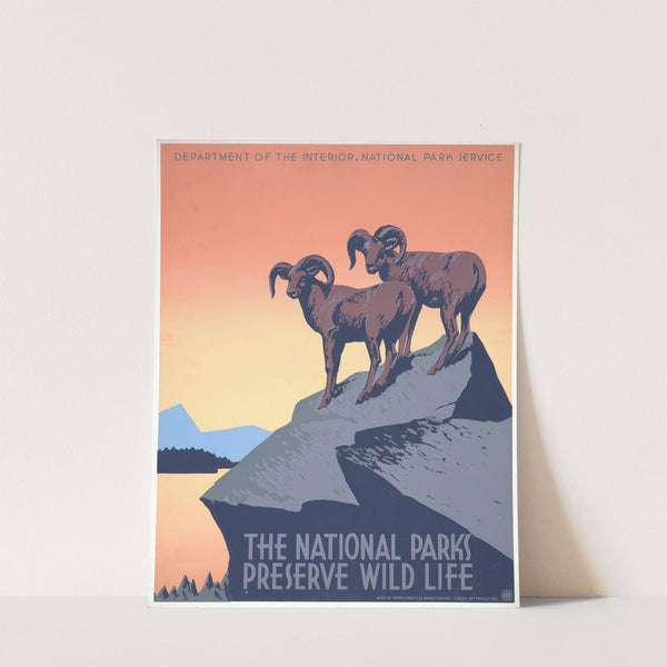 The national parks preserve wild life (1936) by J. Hirt