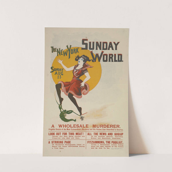 The New York Sunday world. by Anonymous