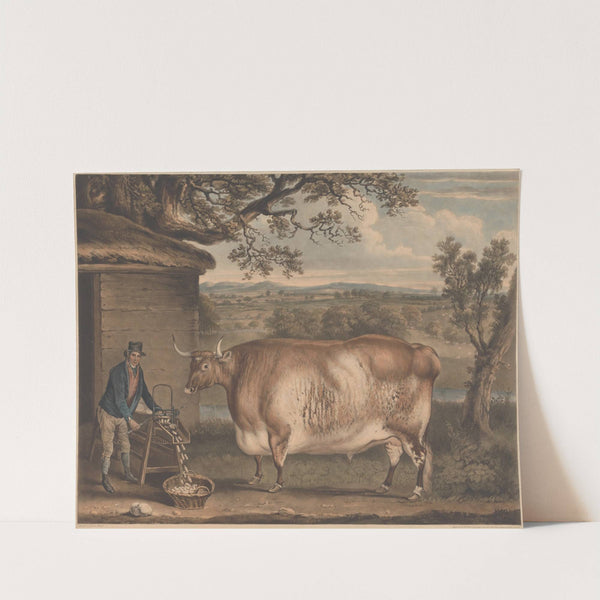 The Newbus Ox (1812) by Thomas Weaver