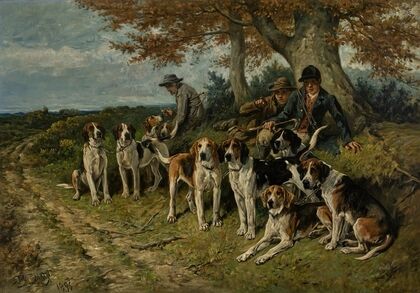 The Newforest Buckhounds