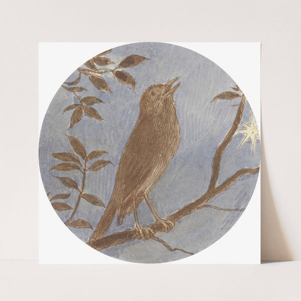 The Nightingale (tail piece) by Alfred W. Cooper