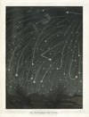 The November meteors