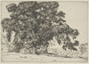 The Oak and the Adobe (1919)