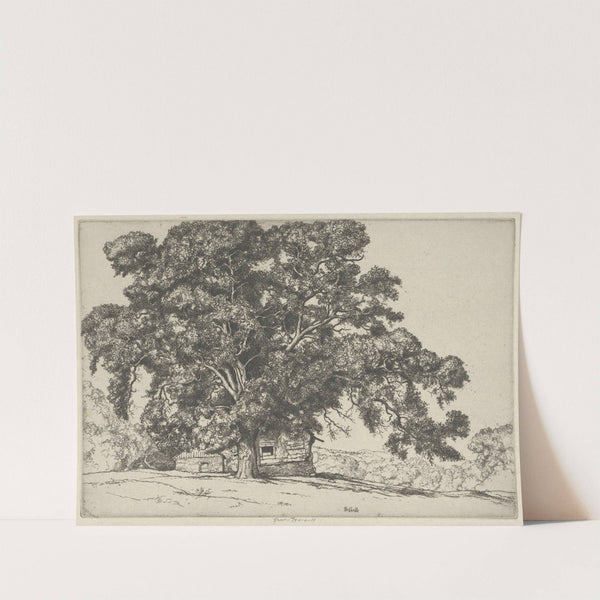 The Oak and the Adobe (1919) by Ernest Haskell