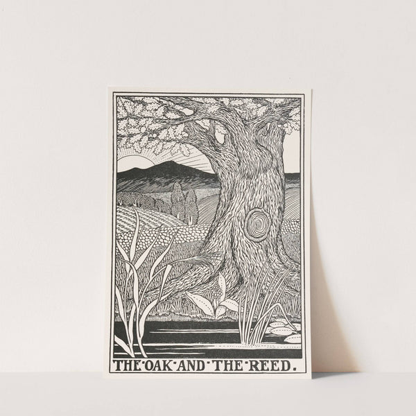 The Oak and the Reed (1900) by Percy J. Billinghurst