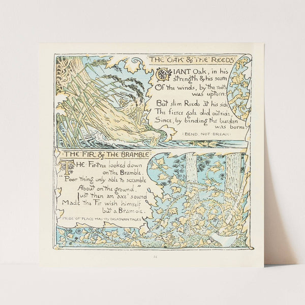 The Oak and the Reeds, The Fir and the Bramble (1908) by Walter Crane