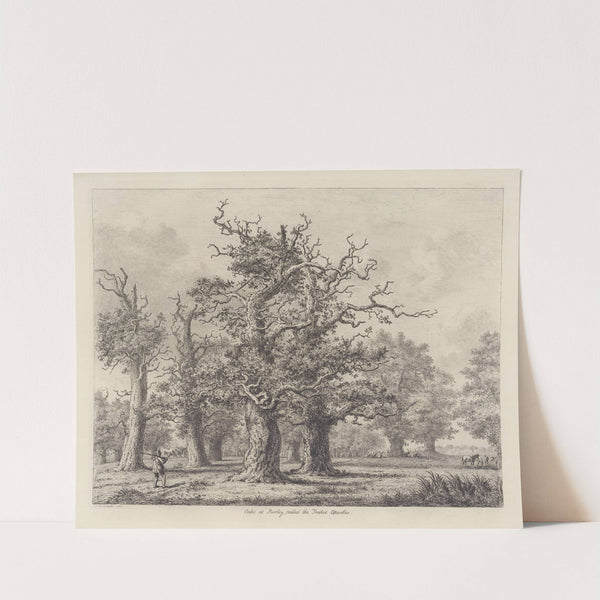 The Oaks at Burley, called the Twelve Apostles by Jacob George Strutt
