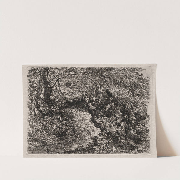 The Old Willow at a Brook (1794) by Johann Georg von Dillis