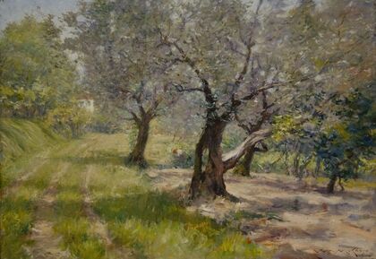 The Olive Grove
